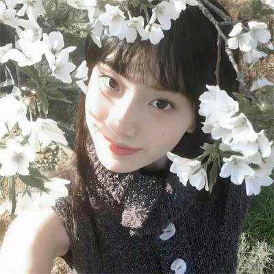 动画国漫